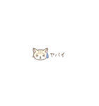 【小さい】トラ猫さん（個別スタンプ：26）
