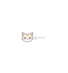 【小さい】トラ猫さん（個別スタンプ：35）