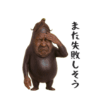 やさいのオジサン 3（個別スタンプ：13）