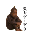 やさいのオジサン 3（個別スタンプ：14）