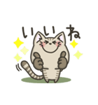 キジトラねこの『ネガティブ入り』スタンプ（個別スタンプ：4）