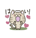 キジトラねこの『ネガティブ入り』スタンプ（個別スタンプ：6）