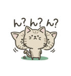 キジトラねこの『ネガティブ入り』スタンプ（個別スタンプ：13）