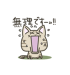 キジトラねこの『ネガティブ入り』スタンプ（個別スタンプ：16）