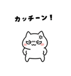 よわよわ猫 キレてる編（個別スタンプ：1）