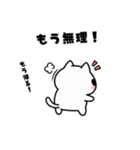 よわよわ猫 キレてる編（個別スタンプ：13）