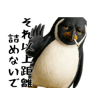 否定ペンギン(意外と使えるネガティブ返信)（個別スタンプ：8）