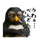 否定ペンギン(意外と使えるネガティブ返信)（個別スタンプ：10）