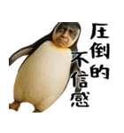 否定ペンギン(意外と使えるネガティブ返信)（個別スタンプ：20）