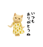 ネッコさんのおスタンプ6（個別スタンプ：1）