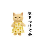 ネッコさんのおスタンプ6（個別スタンプ：7）