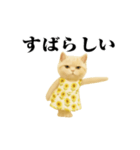 ネッコさんのおスタンプ6（個別スタンプ：8）