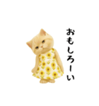 ネッコさんのおスタンプ6（個別スタンプ：16）