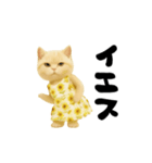 ネッコさんのおスタンプ6（個別スタンプ：17）
