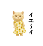 ネッコさんのおスタンプ6（個別スタンプ：19）