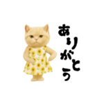 ネッコさんのおスタンプ6（個別スタンプ：22）