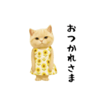 ネッコさんのおスタンプ6（個別スタンプ：24）