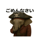 シュールな海賊のゾウのスタンプ 002（個別スタンプ：7）