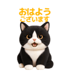 ぬいぐるみ風ねこ❤️毎日使える日常会話（個別スタンプ：1）