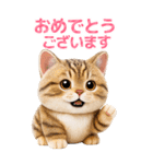 ぬいぐるみ風ねこ❤️毎日使える日常会話（個別スタンプ：9）