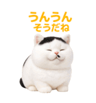 ぬいぐるみ風ねこ❤️毎日使える日常会話（個別スタンプ：20）