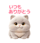 ぬいぐるみ風ねこ❤️毎日使える日常会話（個別スタンプ：21）