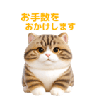 ぬいぐるみ風ねこ❤️毎日使える日常会話（個別スタンプ：23）