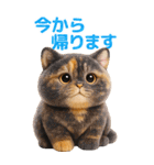 ぬいぐるみ風ねこ❤️毎日使える日常会話（個別スタンプ：27）