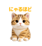 ぬいぐるみ風ねこ❤️毎日使える日常会話（個別スタンプ：30）