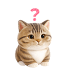 ぬいぐるみ風ねこ❤️毎日使える日常会話（個別スタンプ：31）