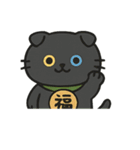 無言猫のらんまる3（個別スタンプ：6）