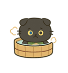 無言猫のらんまる3（個別スタンプ：14）