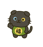 無言猫のらんまる3（個別スタンプ：15）