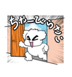 眉毛マルチーズ うちなーぐち（個別スタンプ：15）