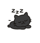 無言猫のらんまる4（個別スタンプ：7）