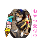 ウナギ・ウォッカ（個別スタンプ：5）