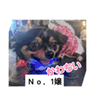ウナギ・ウォッカ（個別スタンプ：6）