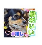 ウナギ・ウォッカ（個別スタンプ：8）