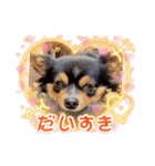 ウナギ・ウォッカ（個別スタンプ：13）