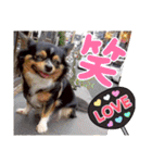 ウナギ・ウォッカ（個別スタンプ：16）