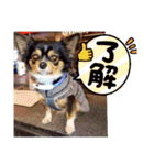 ウナギ・ウォッカ（個別スタンプ：17）