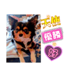 ウナギ・ウォッカ（個別スタンプ：18）
