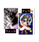 ウナギ・ウォッカ（個別スタンプ：26）