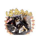 ウナギ・ウォッカ（個別スタンプ：28）
