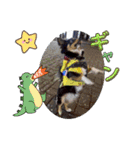 ウナギ・ウォッカ（個別スタンプ：34）