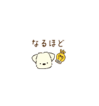 ふらふぃーとチャビィの超小さいスタンプ（個別スタンプ：31）