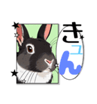 ウサウサしりとりPart3（個別スタンプ：10）