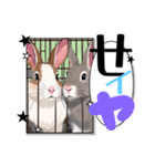 ウサウサしりとりPart3（個別スタンプ：21）