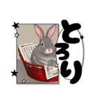ウサウサしりとりPart3（個別スタンプ：27）