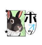 ウサウサしりとりPart3（個別スタンプ：32）